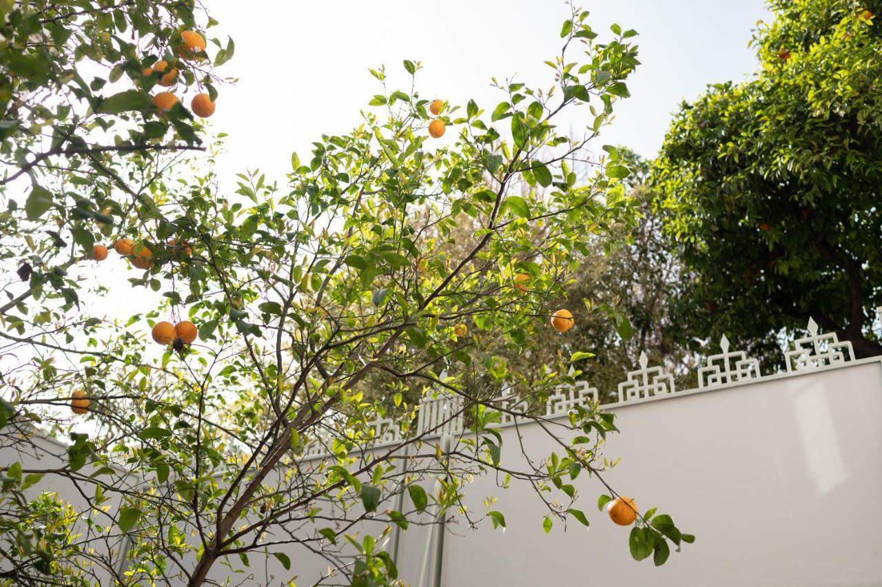 Casa Blue Dove Appartement Chania  Buitenkant foto